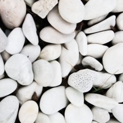 We Are The People - Empire of the Sun (Cover)