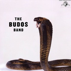 The Budos Band - Into The Fog
