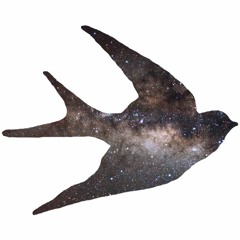 STORY BIRD - Constellation