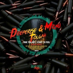 Mr.Nu, Deeperise, Tolgah - Start to feel (Alceen Remix)