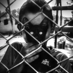 Animal Eyes (touch meh)