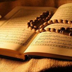 6 - Al-An'am - القرآن الكريم - مشاري بن راشد العفاسي - سورة الأنعام