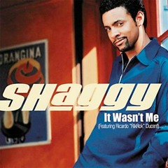 Shaggy - It Wasn't Me (Jamie James Remix) Free Download!