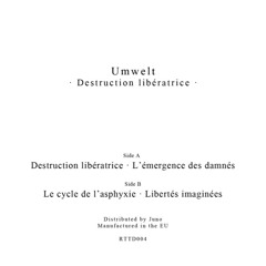 Umwelt - Destruction Libératrice EP - RTTD004