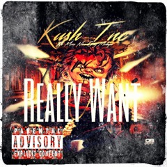 Really Want - Money Mun Ft. DoeDoe X Tennekee