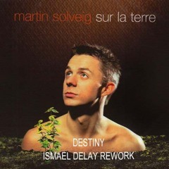 Martin Solveig - Destiny (Ismaël Delay Rework)