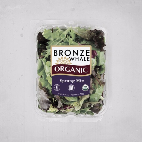 Bronze Whale - Sprung Mix