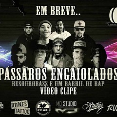 Pássaros Engaiolados - BesouroBass feat Um Barril de Rap (Prod. DFBASS)