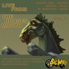 Onec Again (Bigwheel Live Remix) M. Mertens