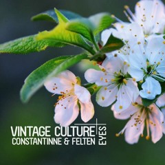 Vintage Culture, Constantinne & Felten - Eyes (Reaktt Bootleg) [FREE DOWNLOAD/CLICK BUY]