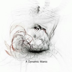 Tensor X oWe Bese- A Dynamic Manic