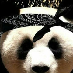 Panda (G-Mix)