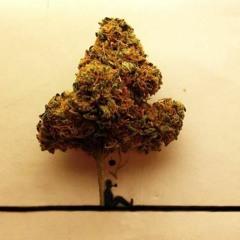 Phatt Trax