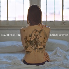 Roads Like Veins