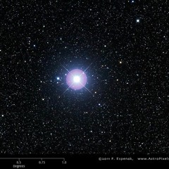 Procyon