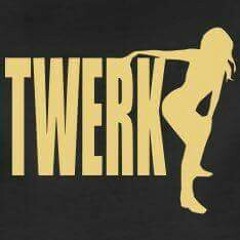 Twerk ( Shake That Ass ).mp3