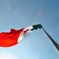 RATSTAR MX PICKS - APRIL16