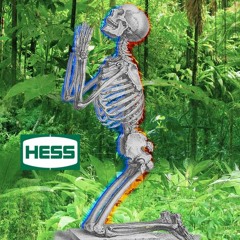 Hess