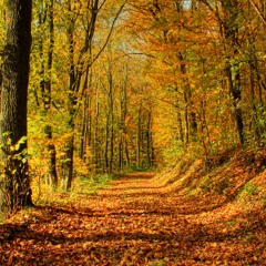 SeasonsChange 032016a