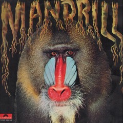 Mango Meat (Imported Straight Out the Jungle)