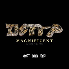 Don P [Donnie Houston + Hot Peez] - Magnificent (Where They At?)