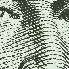 Countin MONEY_ FEATURING. DEBO DaMuscle/TrapNero/CLKentrell (produced by CLKentrell)