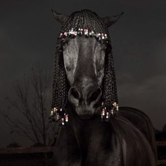 I Don't Know Nothing About Mopeds Pony Mix