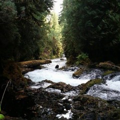 Beauty In The Wake - Acoustic Instrumental