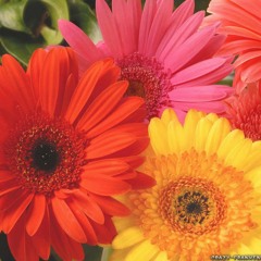 If You Fall For Me I Will Catch You - 3 28 16, 2.08 AM