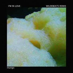 Mungo - Im In Love (Wildebeats Remix)