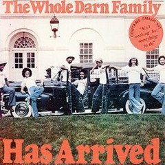 The Whole Darn Family Has Arrived - I Know That You Lied (Dj XS Edit)