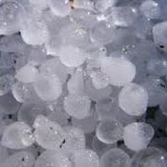 Tripes - Hail Riddim