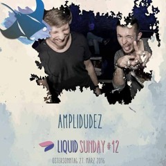 AmpliDudez @ Liquid Sunday - 27.03.2016 (Mic)