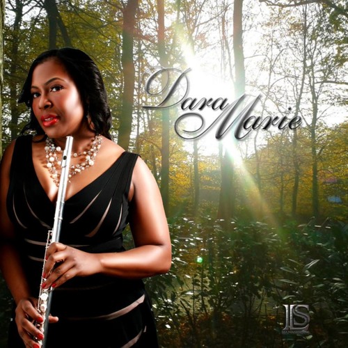 Stream NYC GROOVE by Dara Marie Productions Listen online for free on