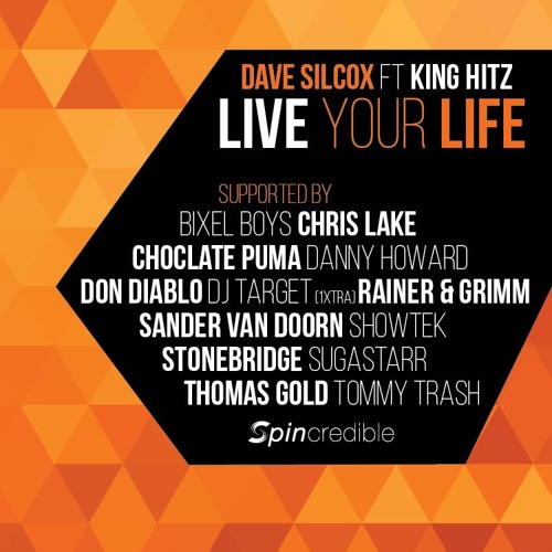 Dave Silcox feat. King Hitz - Live Your Life