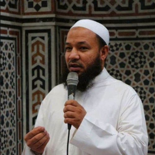 سورة الرعد الشيخ رضا عبد المحسن