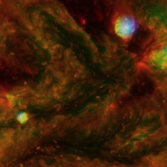 Señorita Sunrise - Asher Jael and Juan Carlos - Ruff Jams