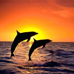 Mi novia es un cenobite