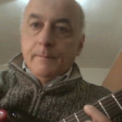 CERVELLI IN GABBIA DEL CANTAUTORE DOMENICO BINI