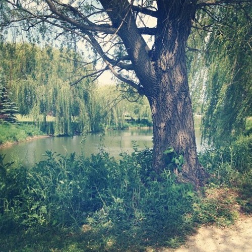 Make a JOYFUL Noise!