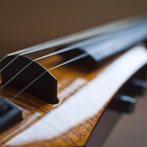 Set + Live Violon by Gabriel Meyer @ REPERKUSOUND