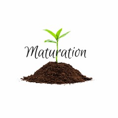 BitterSweet Progression ft DrewLocs