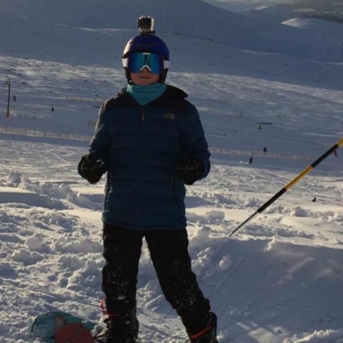 Walk With The Elephants x