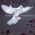 Artwork for Agnus Dei - The Armed Man A Mass For Peace