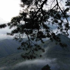 Roninbeat - Indian Soul