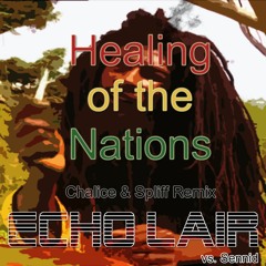 Healing Of The Nations (Chalice & Spliff Remix) - Sennid vs. The Echo Lair