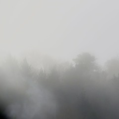 Frühlingsnebelmorgen