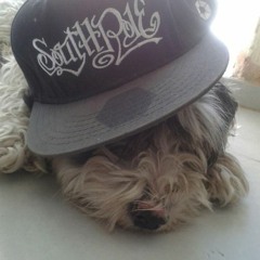 Roer Selekta - MIX 1