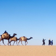Karavan Naroda Tuarega (Tuareg People Caravan)