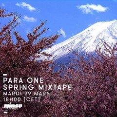 Para One Spring Mixtape on Rinse FR 29/03/16